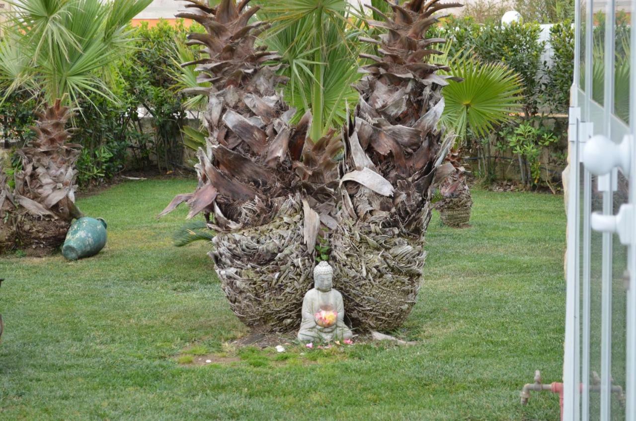 Floripa Surf House Bed & Breakfast Santa Maria Del Focallo Exterior photo